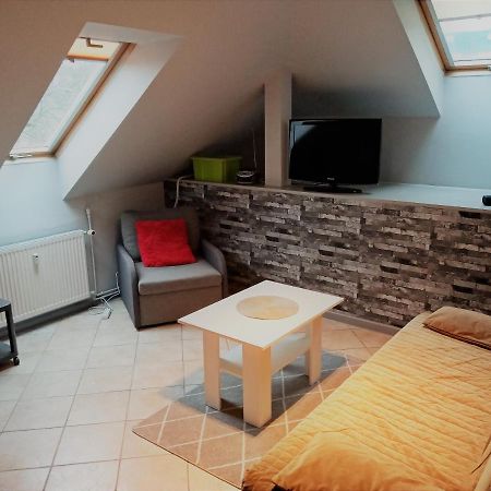 Апартаменти Apartament Dalia Мендзиздроє Екстер'єр фото