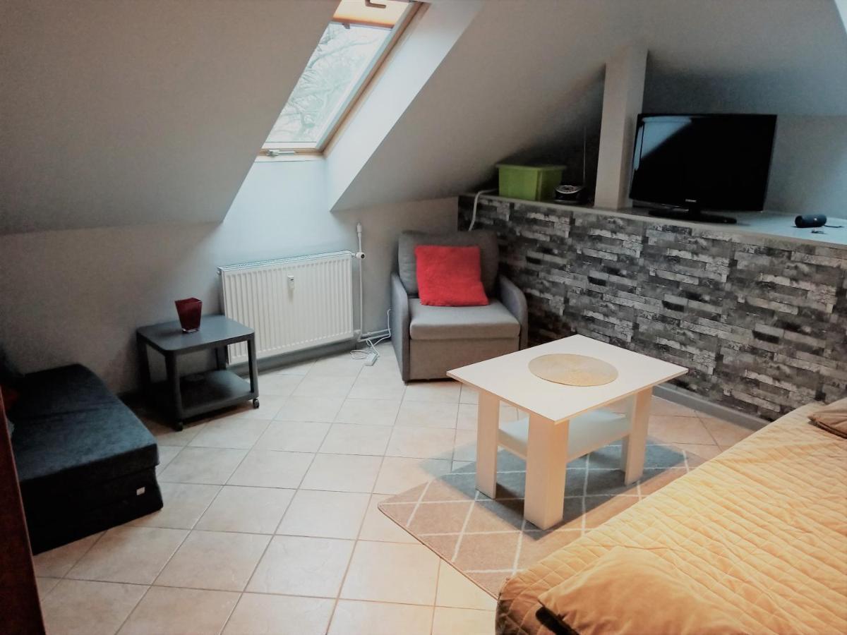Апартаменти Apartament Dalia Мендзиздроє Екстер'єр фото