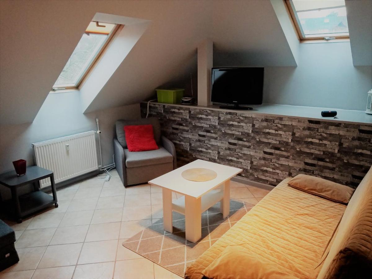 Апартаменти Apartament Dalia Мендзиздроє Екстер'єр фото